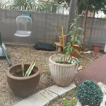 Sacre Coeur * Ajaccio (Corsica)