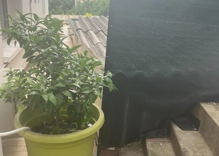 Apartment Sacre Coeur