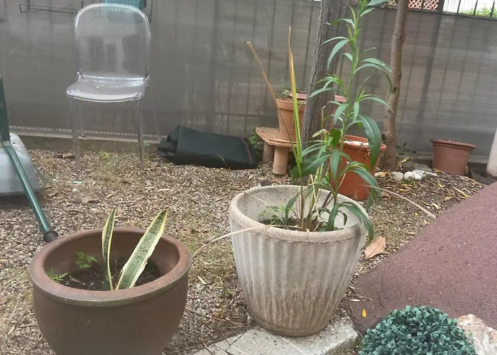 Sacre Coeur * Ajaccio (Corsica)